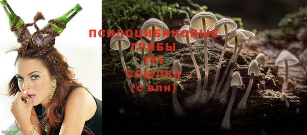 jwh Арсеньев