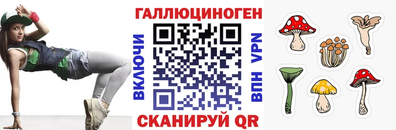 сколько стоит  Могоча  Галлюциногенные грибы MAGIC MUSHROOMS 